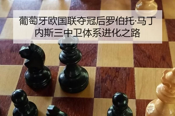 pu-tao-ya-ou-guo-lian-duo-guan-hou-luo-bo-tuo-ma-ding-nei-si-san-zhong-wei-ti-xi-jin-hua-zhi-lu-2-943.jpg